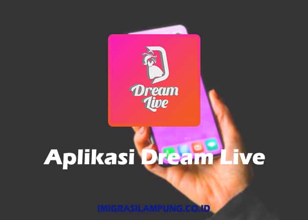 Apa-Itu-Aplikasi-Dream-Live-Terbaru