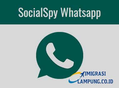 Download-Apk-Social-Spy-WhatsAp-Terbaru-2022-Menggunakan-Link-Khusus-Terpercaya