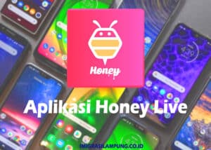Honey-Live-Apk