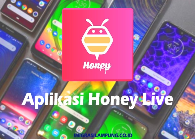Review-Aplikasi-Honey-Live-Apk-Mod-Terbaru