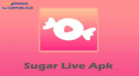 sugar live apk