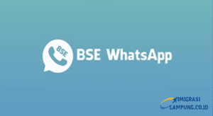 BSE WhatsApp
