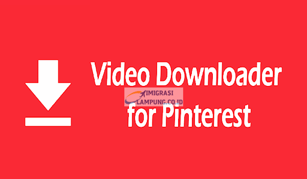 Download Video Pinterest Apk