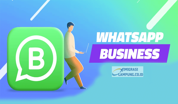 Download WhatsApp Business Apk