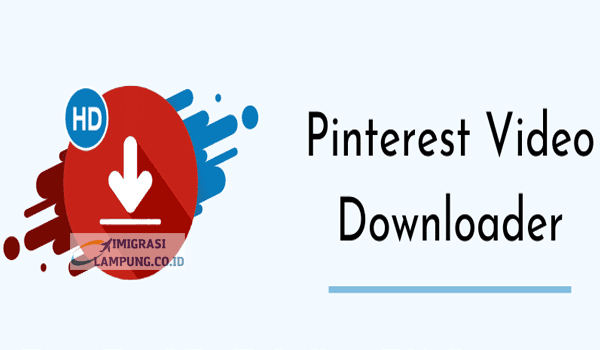 Fitur Download Video Pinterest Apk