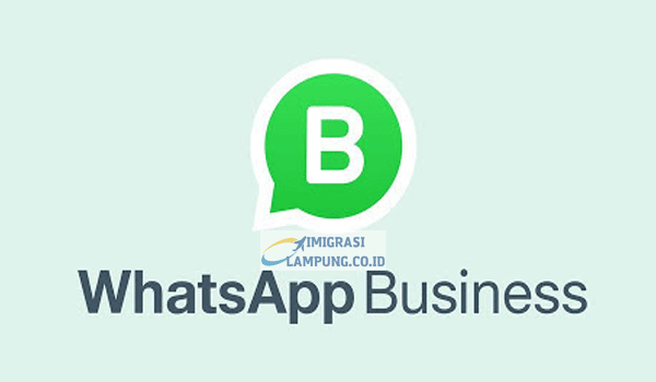 Fitur Unggulan WhatsApp Business Apk