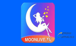 Moon Live