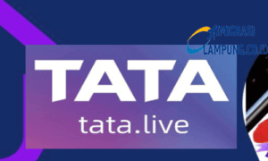 Tata Live Mod APK