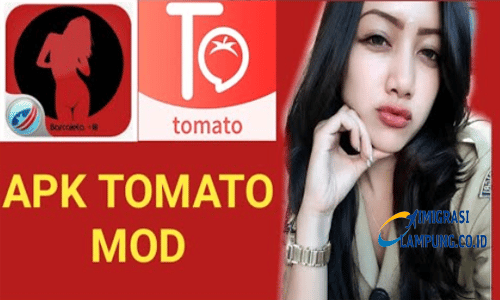 Tomato-Live-Pro-APK-Streaming-Bar-Bar-Indo-Bisa-Rekam-Layar