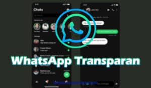 WhatsApp-Transparan-Mod-Apk