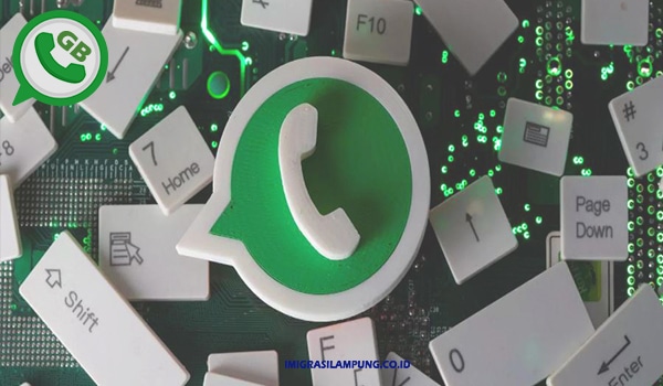 Whatsapp-GB-Pro-Premium-Mod-Apk