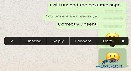 Whatsapp Unsed