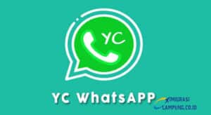 YC Whatsapp
