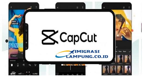 CapCut Pro Mod Apk