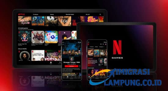Netflix Pro Mod Apk