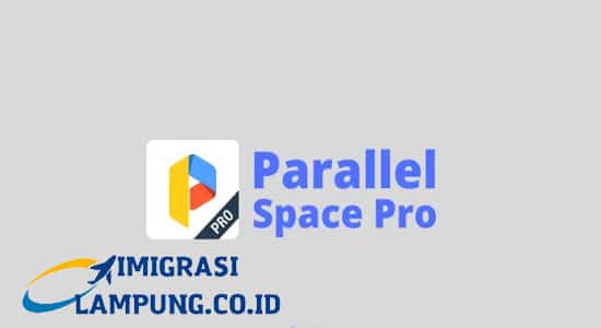 Parallel Space Pro Update 2022