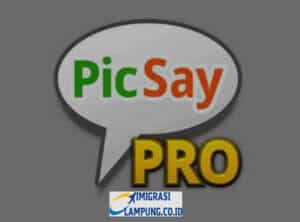 picsay-pro