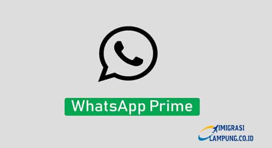 whatsapp prime 1