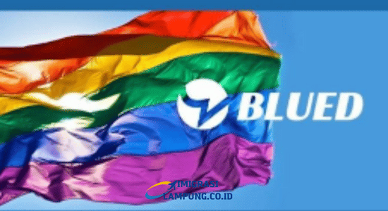 Blued Apk Mod Dating Chat New Version Download for Android