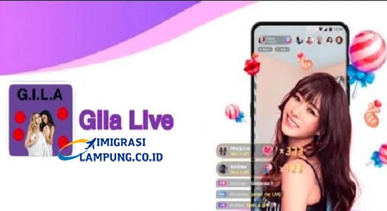 Download Gila Live Apk Mod Full Bokeh Indonesia!