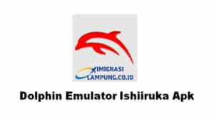 Unduh Dolphin Emulator Ishiiruka Apk Gratis Terbaru 2022