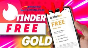 Begini Cara Download Tinder Gold Versi Mod Apk Terbaru 2022