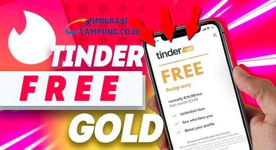 Download Tinder Gold Apk Free Platinum Latest Version 2023 1689