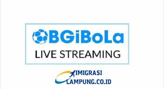 Bgibola Live Streaming Apk
