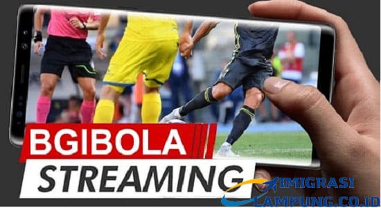 Bgibola Live Streaming Apk