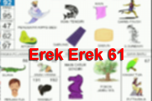 Erek Erek 61