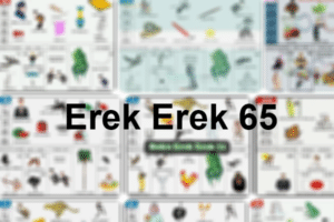 Erek Erek 65