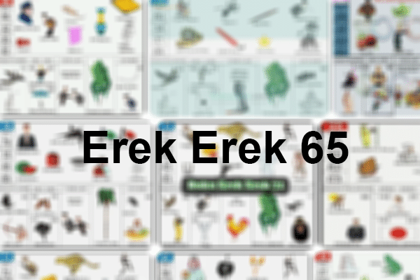 Erek Erek 65