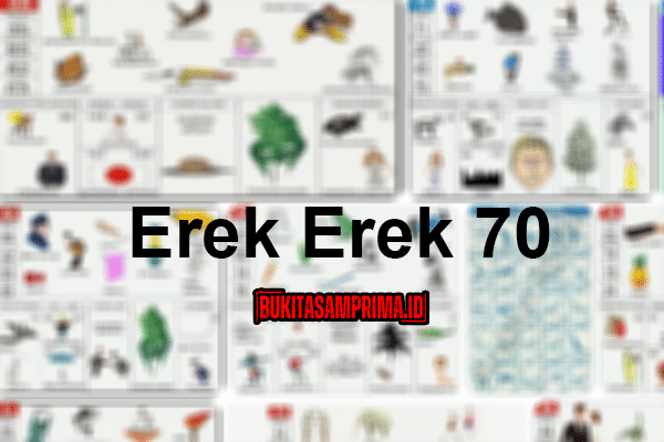 Erek Erek 70