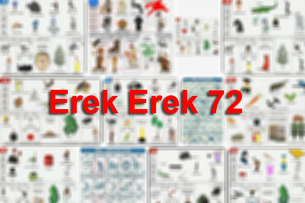 Erek Erek 72