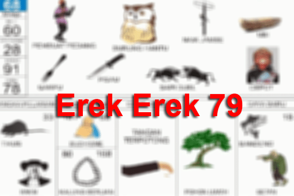 Erek Erek 79