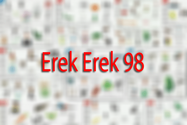 Erek Erek 98