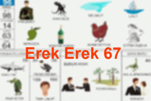 Erek Erek 67