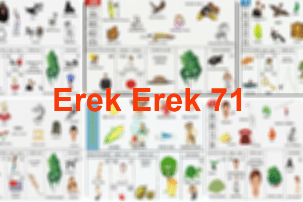 Erek Erek 71