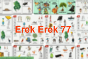 Erek Erek 77