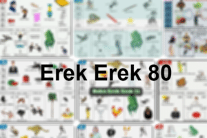 Erek Erek 80
